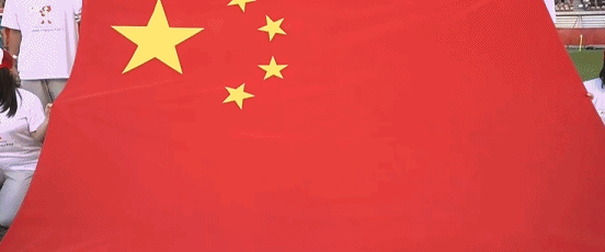 专业公海贵宾会服务